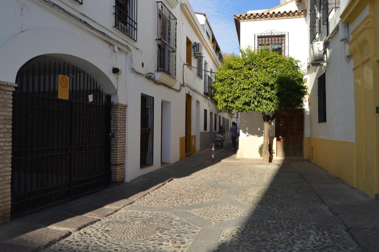 Apartamento Alcazar Viejo Tourist *