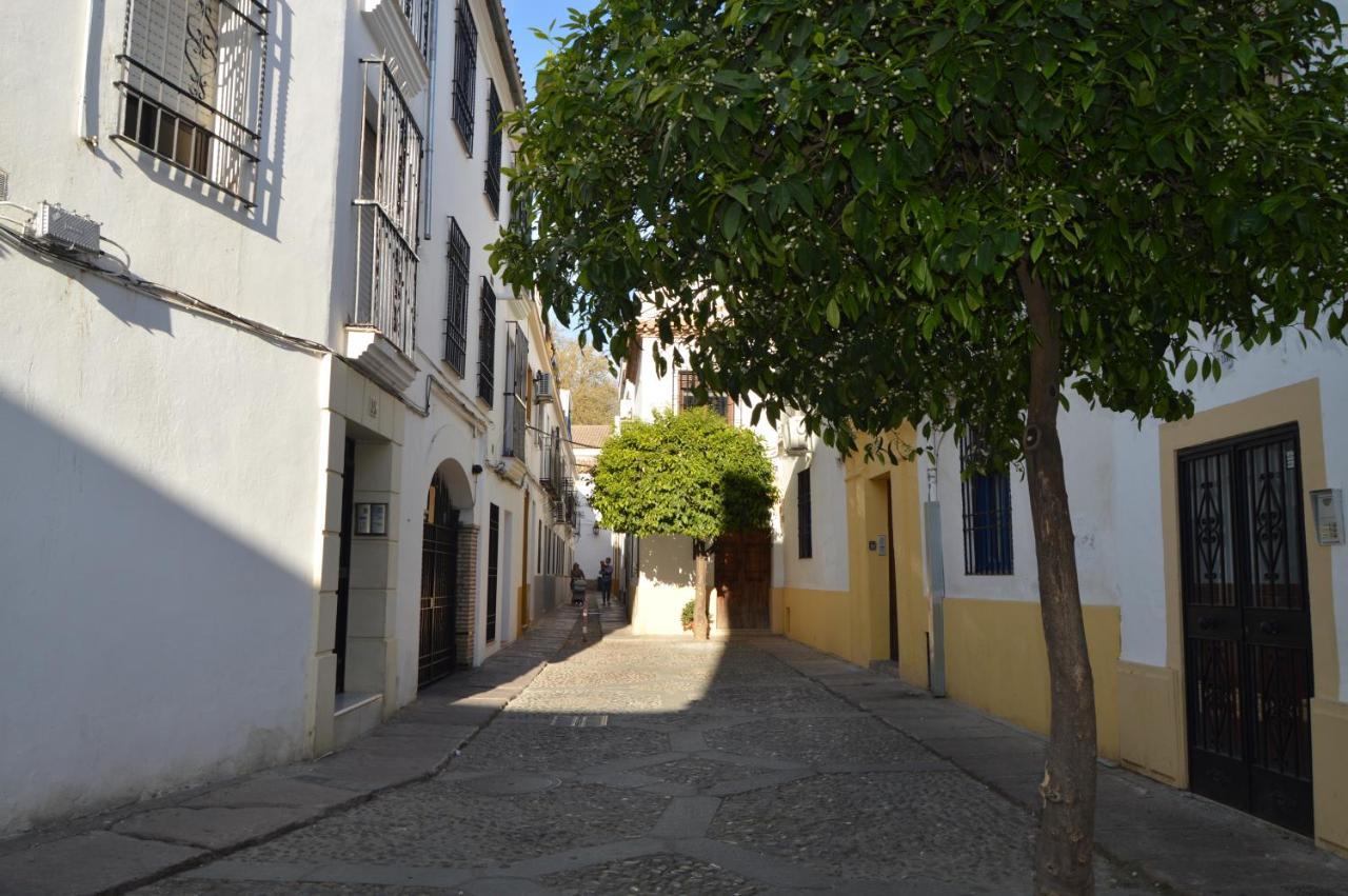 Apartamento Alcazar Viejo Tourist Córdoba